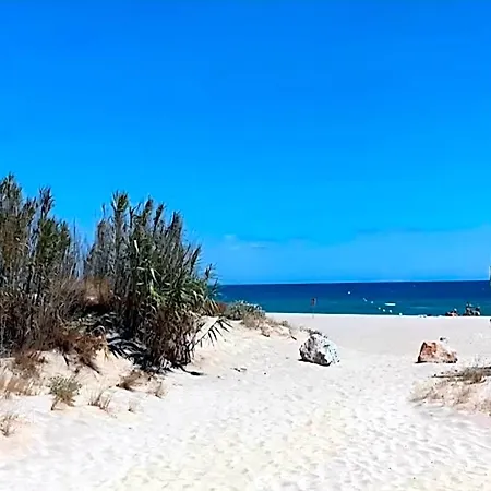 Siblu Mar Estang * كانيه